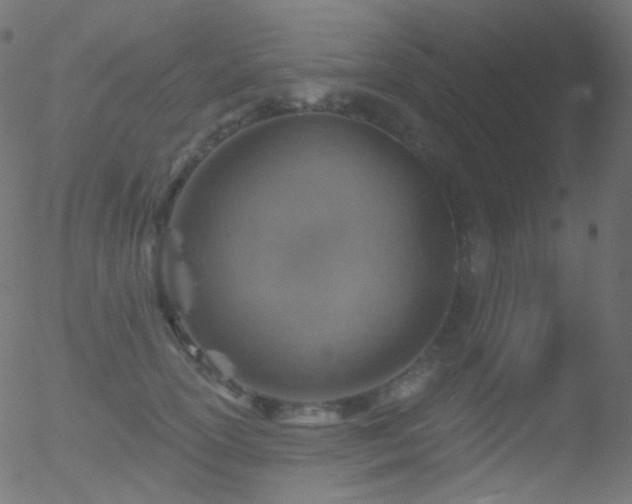 X0000052570754200507011220