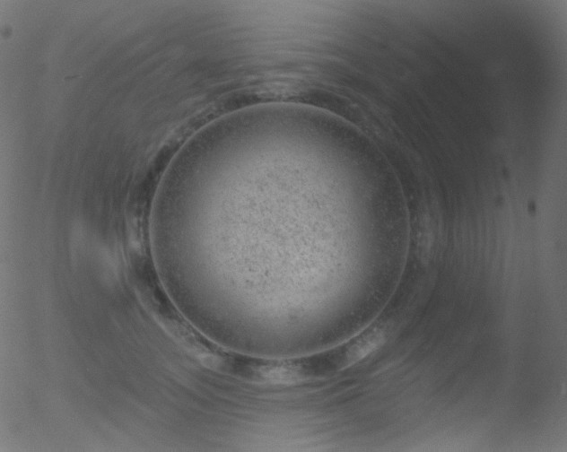 X0000052570755200507011220