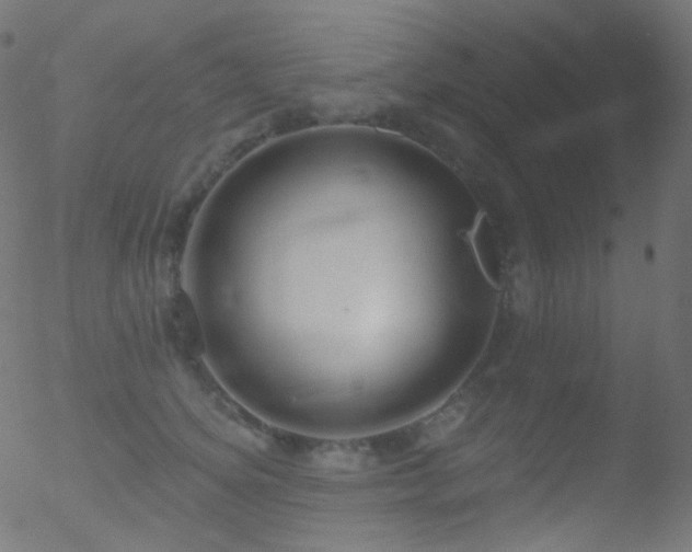 X0000052570756200507011220