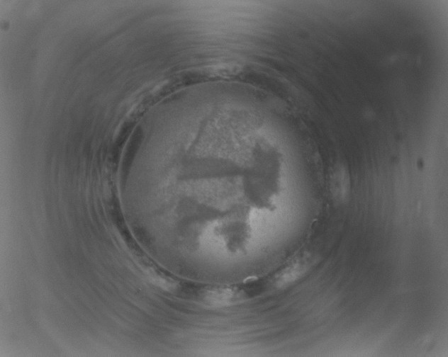 X0000052570757200507011220