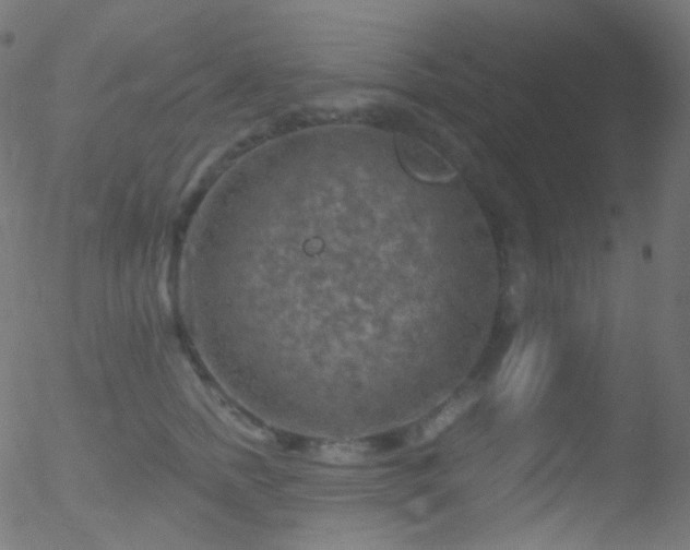 X0000052570758200507011220