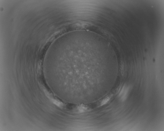 X0000052570759200507011220