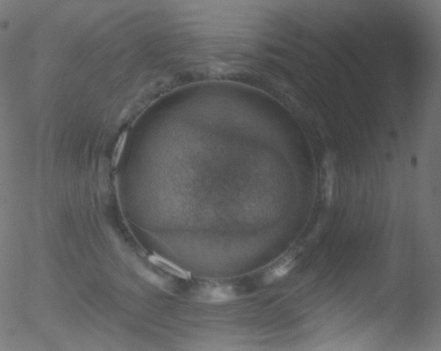 X0000052570760200507011220