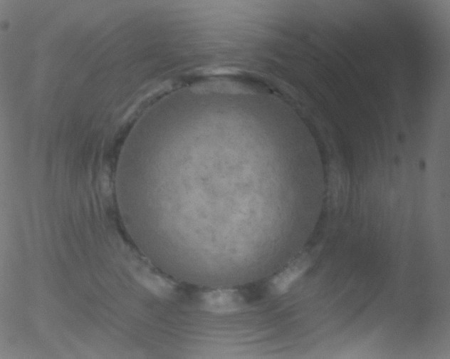 X0000052570761200507011220