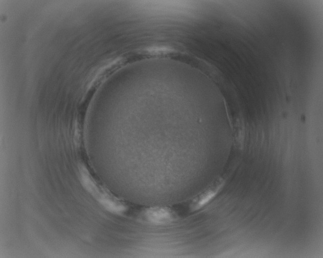 X0000052570762200507011220