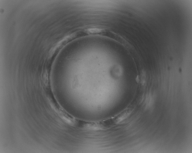 X0000052570763200507011220