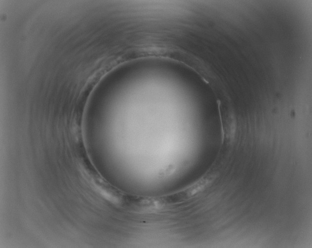 X0000052570764200507011220