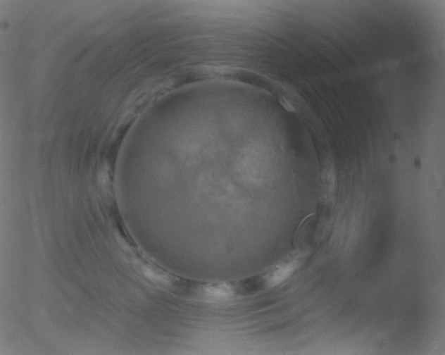 X0000052570765200507011220