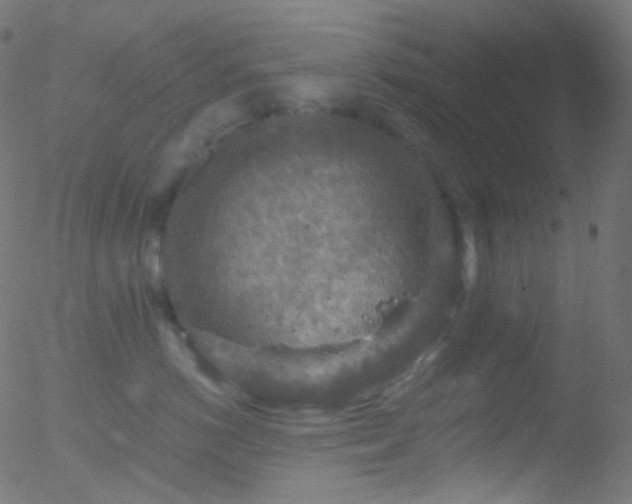 X0000052570766200507011220