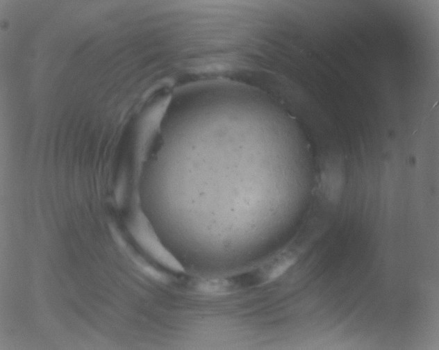 X0000052570767200507011220