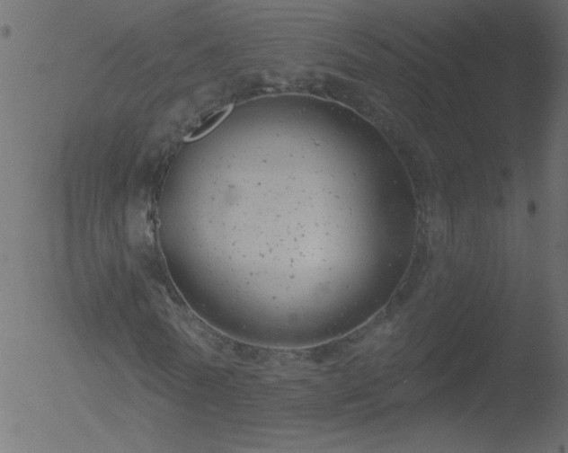 X0000052570770200507011220