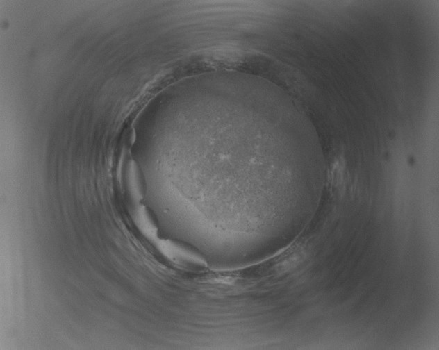 X0000052570772200507011220