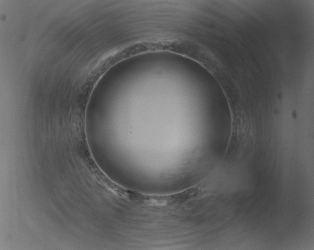 X0000052570773200507011220