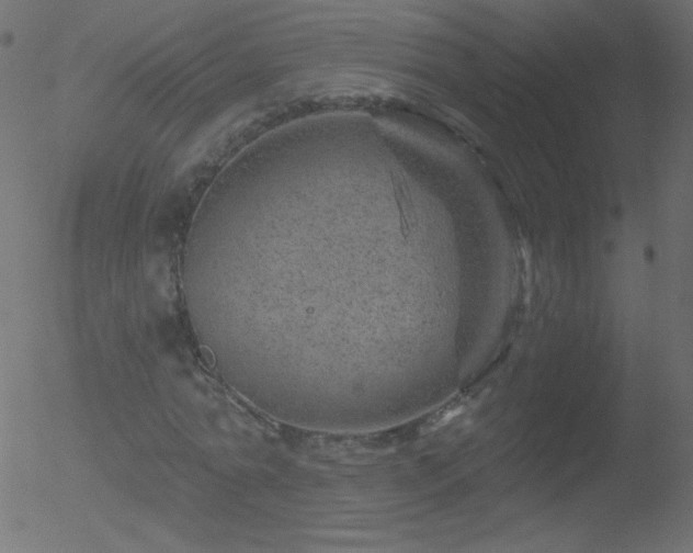 X0000052570774200507011220