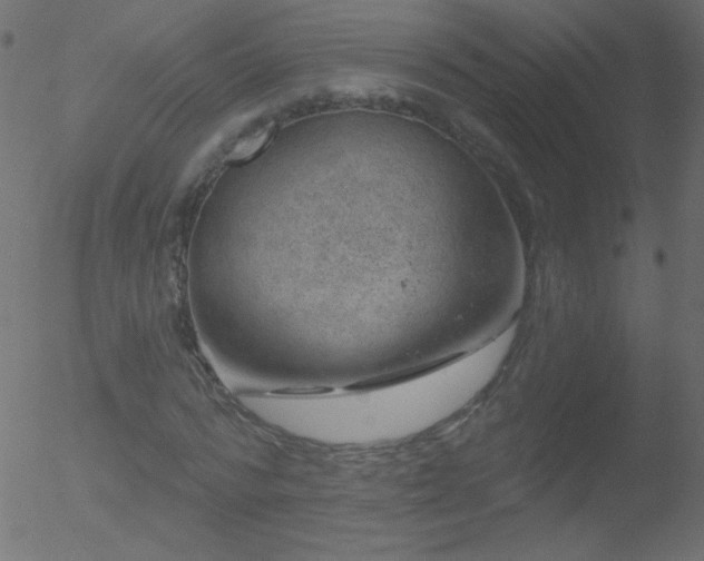 X0000052570776200507011220