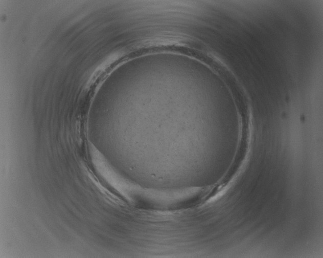 X0000052570777200507011220