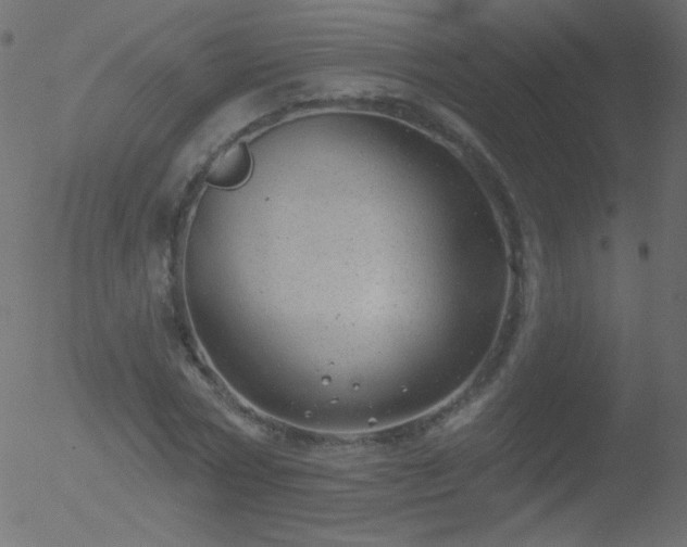 X0000052570778200507011220