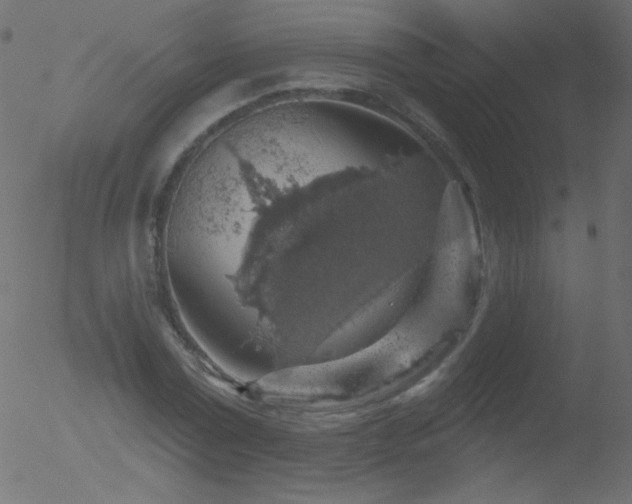 X0000052570779200507011220