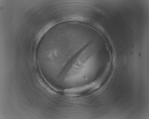 X0000052570780200507011220