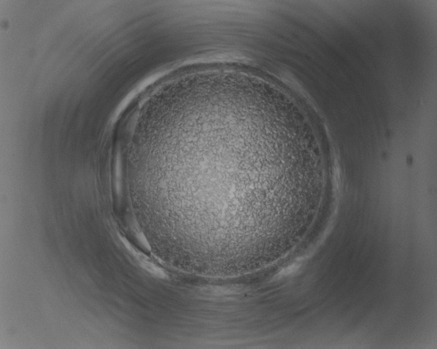 X0000052570781200507011220