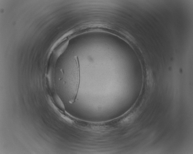 X0000052570782200507011220