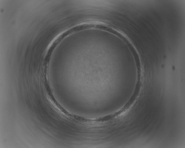 X0000052570783200507011219