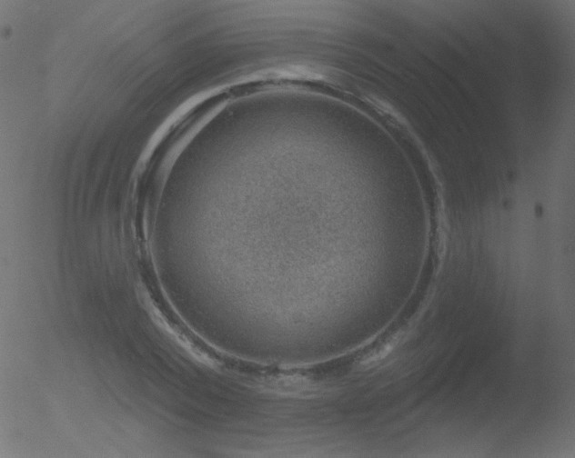 X0000052570784200507011219