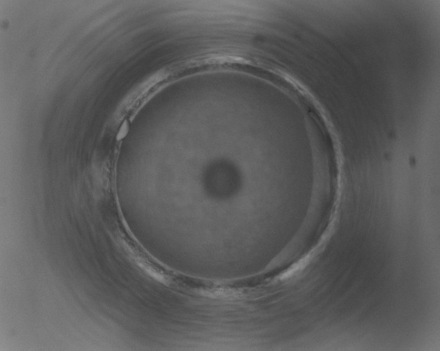 X0000052570785200507011219