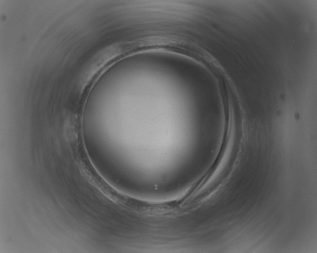 X0000052570786200507011219