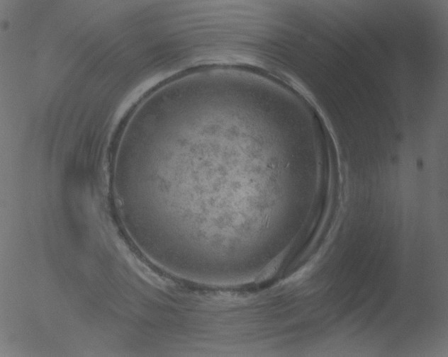 X0000052570787200507011219