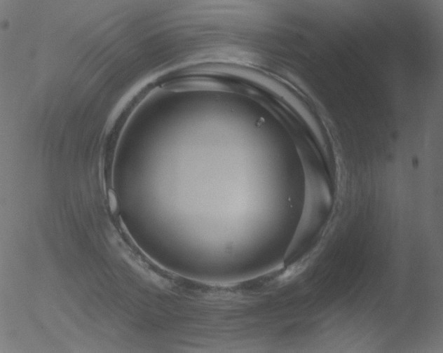 X0000052570788200507011219