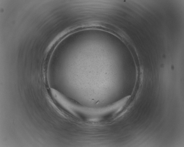 X0000052570789200507011219