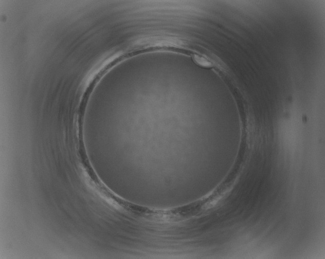 X0000052570790200507011219