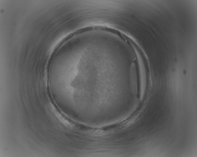 X0000052570791200507011219