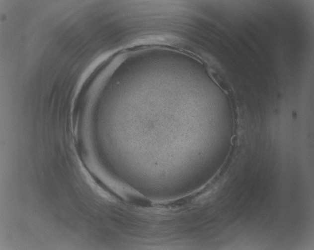 X0000052570792200507011219