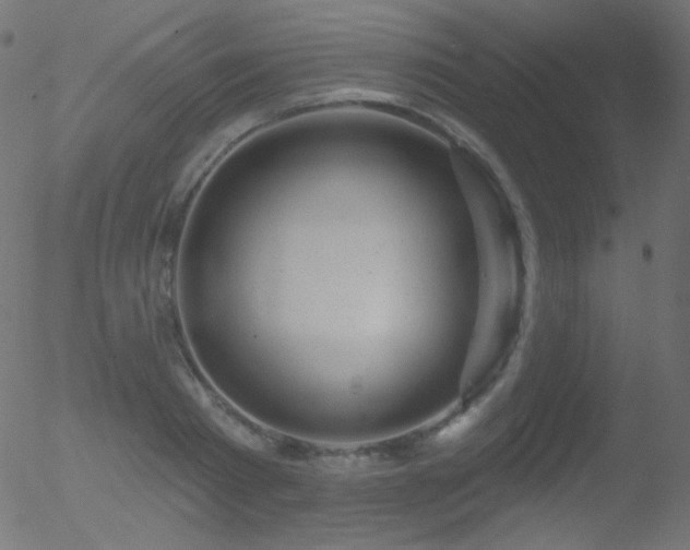 X0000052570793200507011219