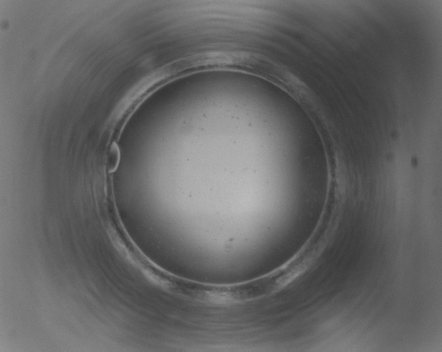 X0000052570794200507011219