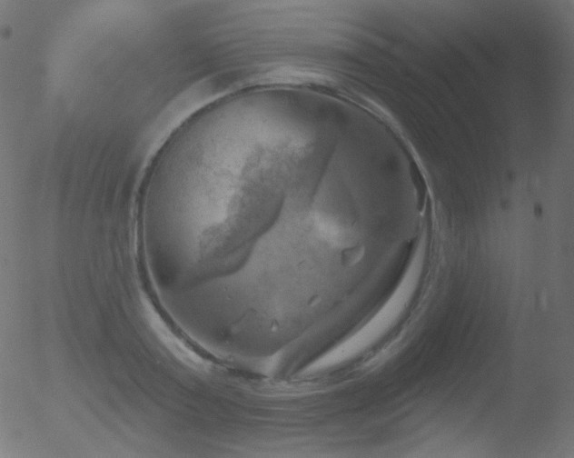 X0000052570795200507011219