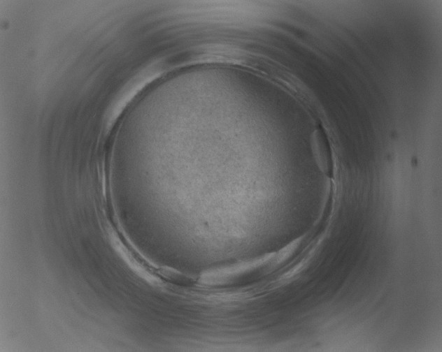 X0000052570796200507011219