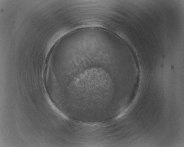 X0000052570797200507011219