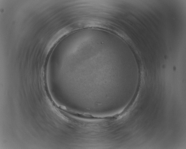 X0000052570798200507011219