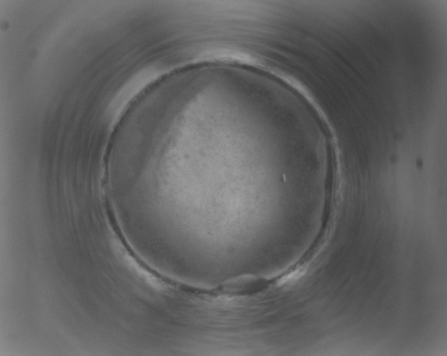 X0000052570799200507011219