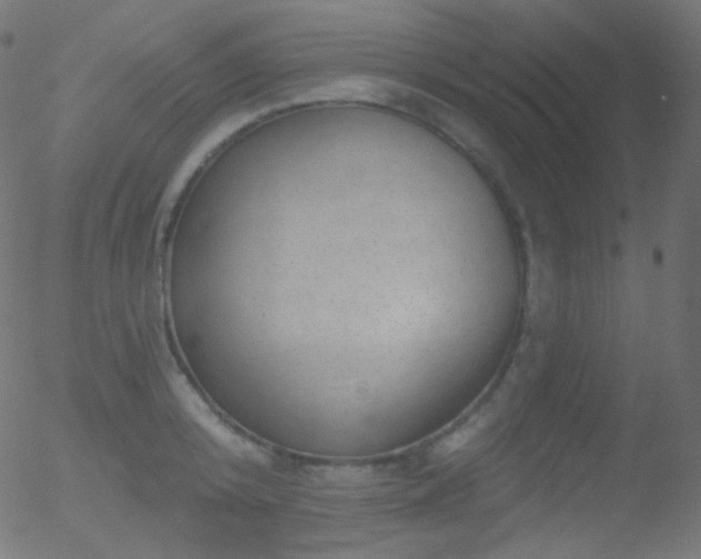 X0000052570800200507011219