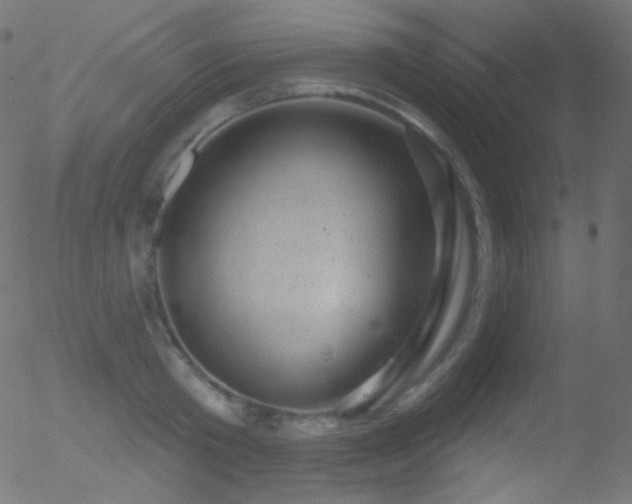 X0000052570801200507011219