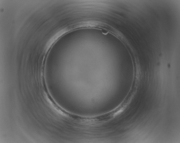 X0000052570802200507011219