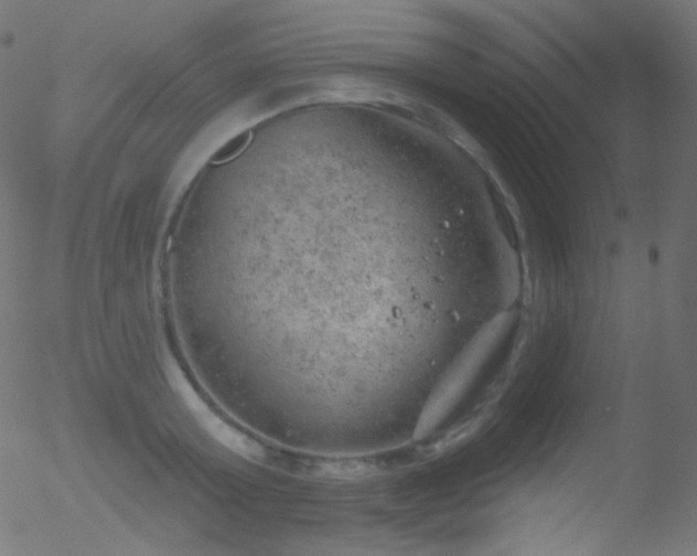 X0000052570803200507011219