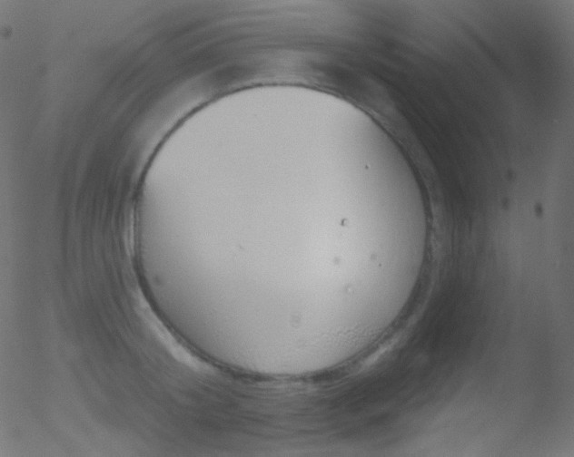 X0000052570804200507011219