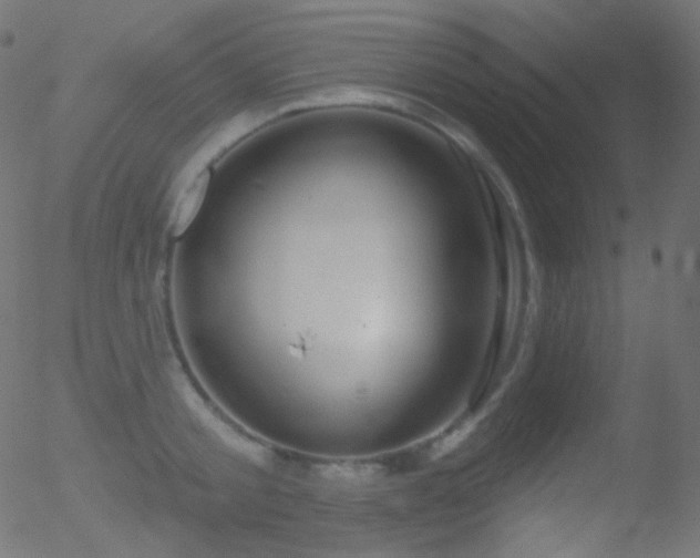 X0000052570805200507011219