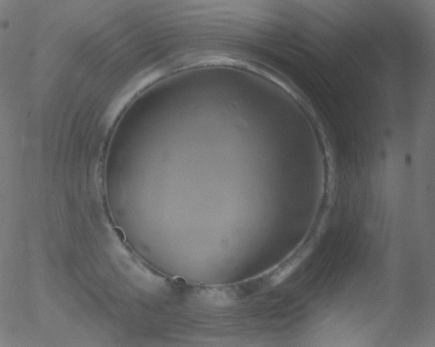 X0000052570806200507011219