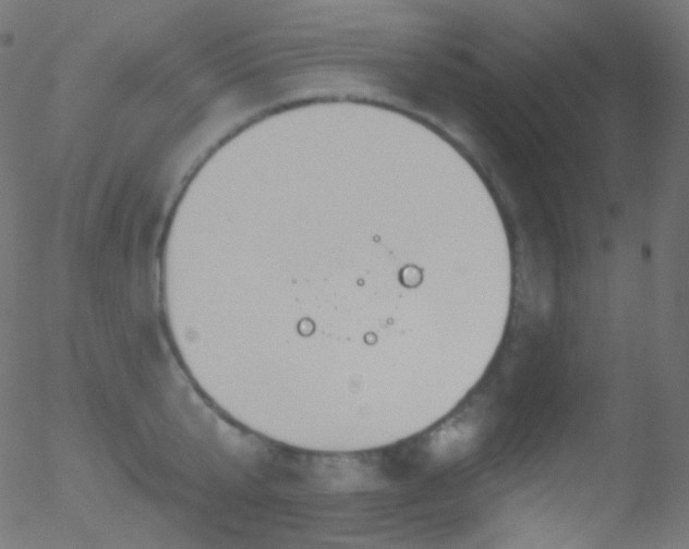 X0000052570807200507011219